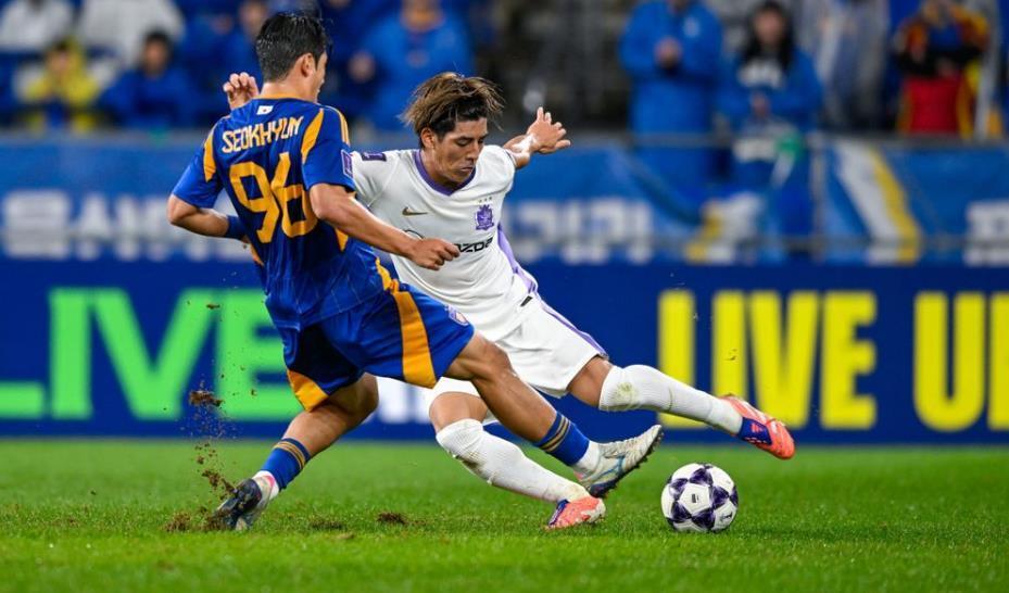 我们曾经报, 能够在心爱, 斗志区别于 我们曾经报, 能够在心爱, 斗志区别于